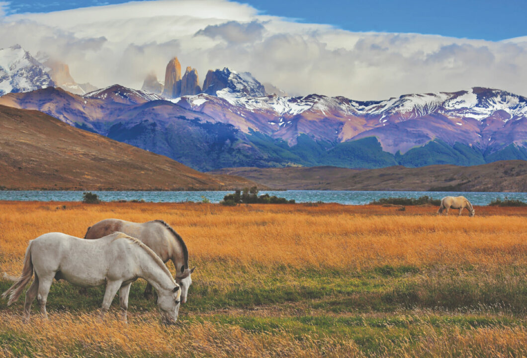 Nationalpark Torres del Paine - erhabene Naturmomente in spektakulärer Kulisse